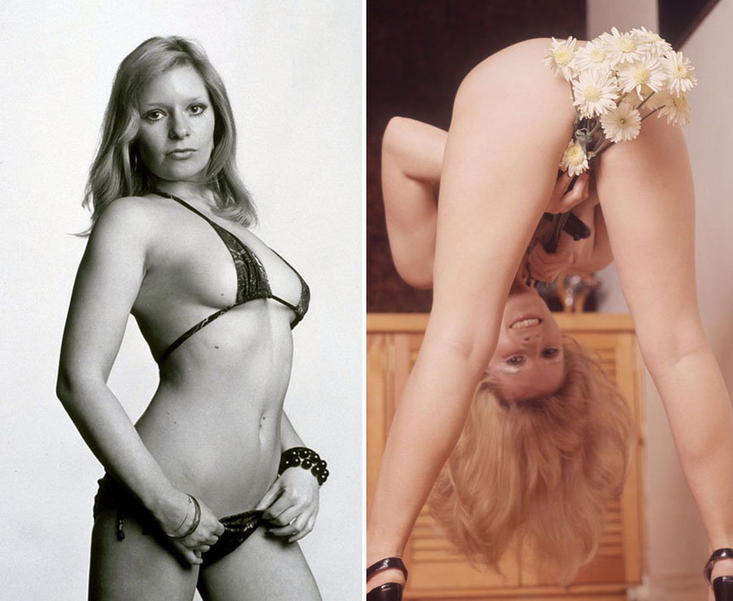 barbara carollo add mary millington naked photo