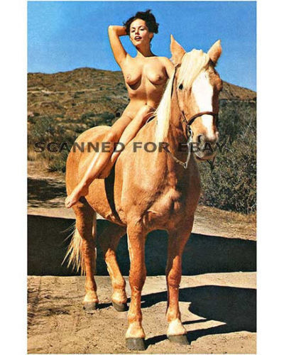 barok lim add nude women on horses photo