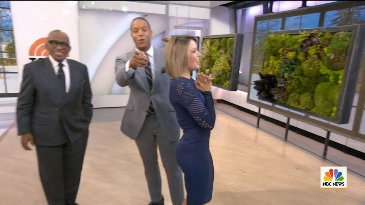 darin cox add dylan dreyer butt photo