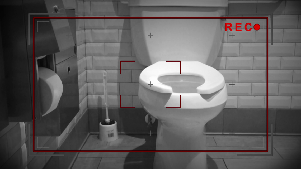 alina brasoveanu add hidden cameras in toilets photo