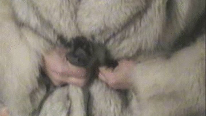 dewey greer add handjob with fur photo