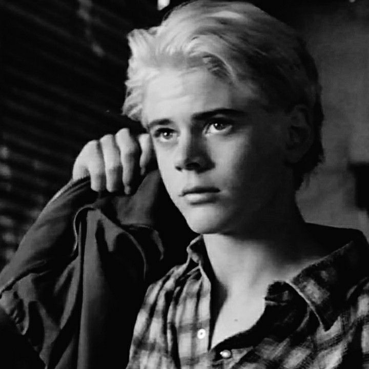 david bodwell add blonde ponyboy image