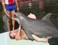 arlinda cela add dolphin porn image