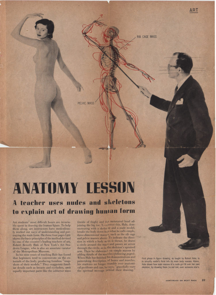 coon eey add nude anatomy lesson image