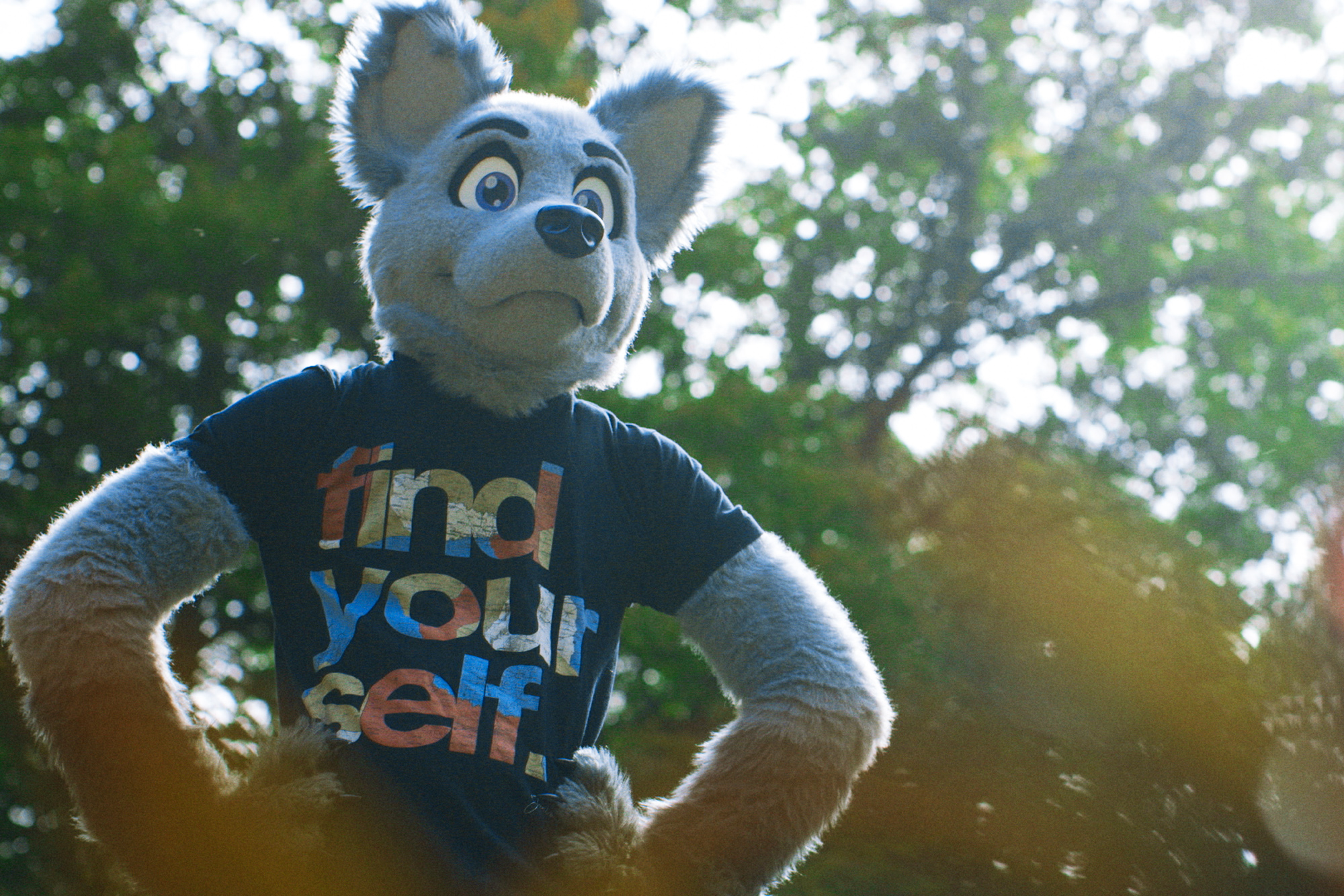 anton verner add sexual fursuit photo